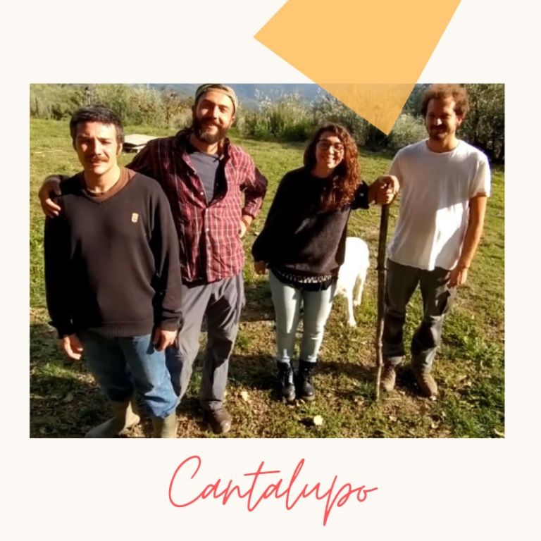 Notizie in primo piano